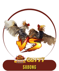 Sabong